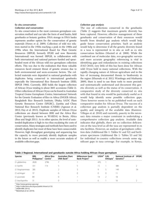 Ex situ conservation
Collection and conservation
Ex situ conservation is the most common germplasm con-
servation method and can take the form of seed banks, field
genebanks or botanic gardens. DNA storage in DNA banks
represents another option for the conservation of genetic
materials (Henry et al. 2009). Collection of wild rice rela-
tives started in the 1950s reaching a peak in the 1980s and
1990s when the International Board for Plant Genetic
Resources (IBPGR, formerly IPGRI and now Bioversity
International) was formed. IBPGR, in collaboration with
both international and national partners funded and spear-
headed most of the African wild rice germplasm collection
efforts. This was due to the realization that these valuable
resources faced eminent threat of genetic erosion due to
both environmental and socio-economic factors. The col-
lected materials were deposited in national genebanks with
duplicates being conserved in international genebanks
especially the International Rice Research Institute (IRRI;
IBPGR 1984). Currently, IRRI holds the largest collection
of African Oryza totaling to about 3601 accessions (Table 2).
Other collectionsofAfrican Oryza canbefound inAustralian
Tropical Grains Germplasm Centre; International Network
for the Genetic Evaluation of Rice in Africa (INGER-Africa);
Bangladesh Rice Research Institute, Dhaka; SADC Plant
Genetic Resources Centre (SPGRC), Zambia and China
National Rice Research Institute (CNRRI) (Agnoun et al.
2012; Hay et al. 2013). Duplicate samples of African Oryza
collections are shared between IRRI and the Africa Rice
Center (previously known as WARDA) in Benin, Africa
(Brar and Singh 2011). As in other species, the level of unin-
tended duplication is high in rice thus escalating the costs of
conservation.Manystrategiesandmethodshavebeenusedto
identify duplicates but most of these have been unsuccessful.
However, high throughput genotyping and sequencing has
the capacity to more precisely identify duplicate samples
in the future as well as enable a more accurate analysis of
availablecollectiongaps.
Collection gap analysis
The size of collections conserved in the genebanks
(Table 2) suggests that maximum genetic diversity has
been captured. However, effective management of these
genebanks and conservation of their resources would
benefit from detailed gap analysis which would help
guide future conservation priorities. Such an analysis
would help to determine if all the genetic diversity found
in a taxa is represented in in situ as well as ex situ
conservation facilities (Maxted et al. 2008). While the
combined use of molecular data, eco-geographic surveys
and more accurate geographic referencing is vital in
identifying gaps and redundancies in existing collections
(FAO 2010), very little of this has been done for African
wild Oryza held in many national collections. With the
rapidly changing nature of African agriculture and in the
face of increasing documented threats to biodiversity in
the region (Khumalo et al. 2012; Wambugu and Muthamia
2009), there is need to use these tools to more precisely
and systematically understand and document this gen-
etic diversity as well as the status of its conservation. A
comparative study of the diversity conserved ex situ
with that found in situ would be particularly useful as it
would help identify some possible collection gaps.
There however seems to be no published work on such
comparative studies for African Oryza. The success of a
collection gap analysis is partially dependent on the
quality and integrity of the available data (Ramirez-
Villegas et al. 2010) and currently, paucity in the neces-
sary data remains a major constraint in undertaking a
comprehensive collection gap analysis. Available data
indicates that globally, there are no collection deficien-
cies at the taxa level as all the taxa are represented in ex
situ facilities. However, an analysis of germplasm collec-
tion data (Additional file 1: Tables S1 and S2) and herb-
arium specimens (Additional file 1: Tables S3 and S4)
for individual in-country collections reveals some sig-
nificant gaps in taxa coverage. For example, in Kenya,
Table 2 Regional, International and genebanks outside Africa holding African Oryza germplasm
Species IRRI,
Philippines1
Africa Rice
Centre1
Australian Plant
DNA Bank2
Millennium Seed
Bank Project1
USDA3
ILRI,
Ethiopia1
National Institute of
Genetics4
SPGRC
O. glaberrima 2828 3796 7 1 476 1
O. barthii 331 114 5 5 15 1 386 2
O. longistaminata 285 2 3 9 5 149 54
O. eichingeri 37 6 0 0 0 11
O. punctata 89 0 1 14 2 18
O. brachyantha 31 0 1 6 1 16 2
1
http://www.genesys-pgr.org/.
2
http://collections.ala.org.au/public/show/co133.
3
USDA-ARS (2013).
4
Nonomura et al. (2010).
Wambugu et al. Rice 2013, 6:29 Page 4 of 13
http://www.thericejournal.com/content/6/1/29
 