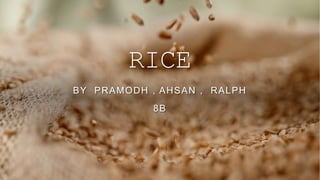 Ahsan Slactor Rice RICEbyPramodh | PPTX