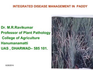 6/28/2014 1
INTEGRATED DISEASE MANAGEMENT IN PADDY
Dr. M.R.Ravikumar
Professor of Plant Pathology
College of Agriculture
Hanumanamatti
UAS , DHARWAD– 585 101.
 