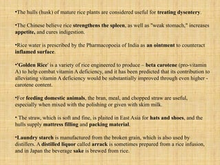 Treating Rice RICE description plant of subject plant r | PPTX