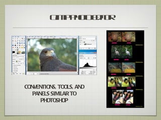 G p ht Eitr
          im Poo do




CONVENTIONS, TOOLS, AND
   PANELS SIMILAR TO
      PHOTOSHOP
 