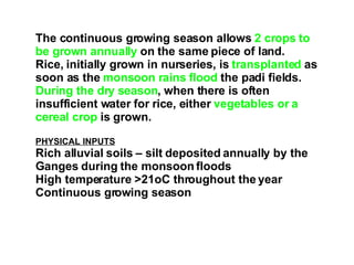 The continuous growing season allows  2 crops to be grown annually  on the same piece of land. Rice, initially grown in nurseries, is  transplanted  as soon as the  monsoon rains flood  the padi fields. During the dry season , when there is often insufficient water for rice, either  vegetables or a cereal crop  is grown. PHYSICAL INPUTS Rich alluvial soils – silt deposited annually by the Ganges during the monsoon floods High temperature >21oC throughout the year Continuous growing season 