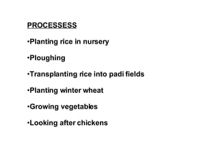 PROCESSESS Planting rice in nursery Ploughing Transplanting rice into padi fields Planting winter wheat Growing vegetables Looking after chickens 