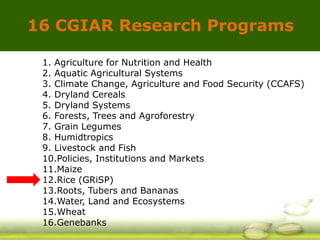 GRM 2013: Global Rice Science Partnership (GRiSP) – H Leung | PDF