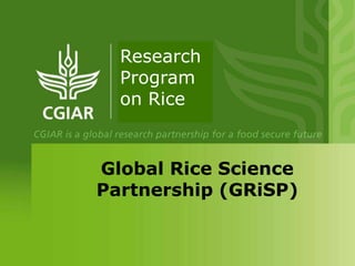 Global Rice Science
Partnership (GRiSP)
Research
Program
on Rice
 
