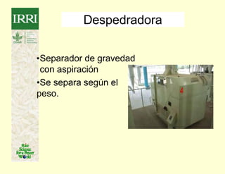 rice-milling-presentation-irri-español.pdf