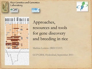 Approaches,
resources and tools
for gene discovery
and breeding in rice
Mathias Lorieux (IRD/CIAT)
GCP GRM, Hyderabad, September 2011
 
