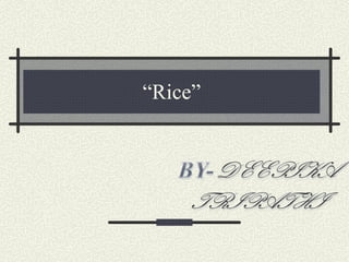 “ Rice” 