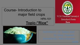 Course- Introduction to
major field crops
HPA-101
Topic-”Rice”
Submitted to:- Dr. Deepa Joshi
Dr. Gargi Goswami
Submitted By:- Rahul bhandari
16009
 