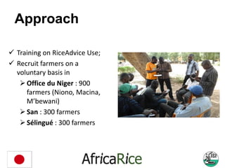 Approach
 Training on RiceAdvice Use;
 Recruit farmers on a
voluntary basis in
Office du Niger : 900
farmers (Niono, Ma...