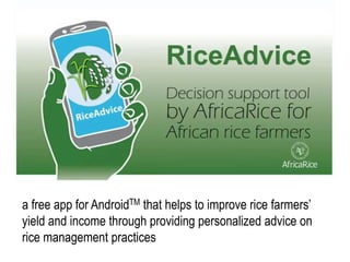 a free app for AndroidTM that helps to improve rice farmers’
yield and income through providing personalized advice on
rice management practices
 