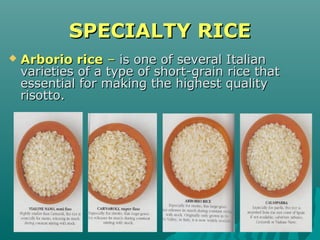 Rice and other grains | PPT