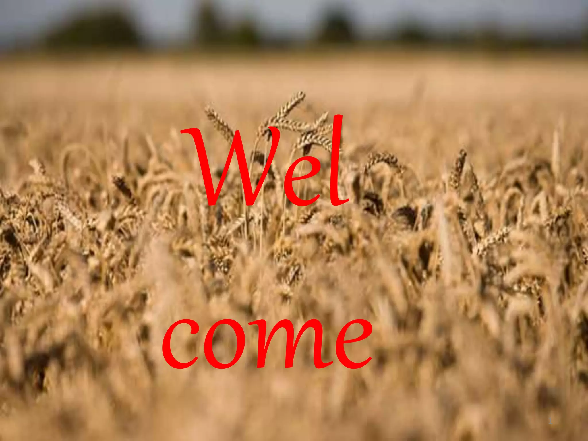 Wel
come 1
 