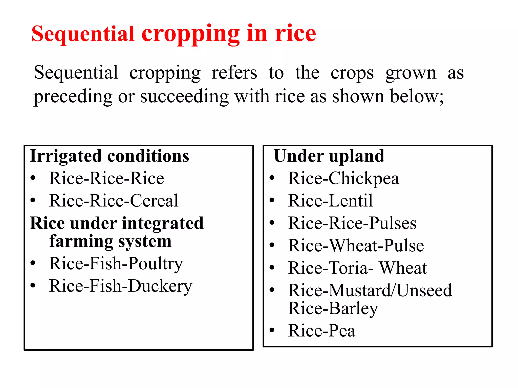 Sequential cropping in rice
Irrigated conditions
• Rice-Rice-Rice
• Rice-Rice-Cereal
Rice under integrated
farming system
• Rice-Fish-Poultry
• Rice-Fish-Duckery
Under upland
• Rice-Chickpea
• Rice-Lentil
• Rice-Rice-Pulses
• Rice-Wheat-Pulse
• Rice-Toria- Wheat
• Rice-Mustard/Unseed
Rice-Barley
• Rice-Pea
Sequential cropping refers to the crops grown as
preceding or succeeding with rice as shown below;
 