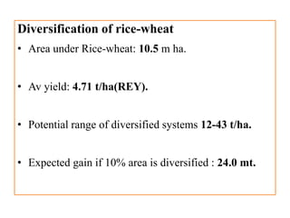 Diversification of rice-wheat
• Area under Rice-wheat: 10.5 m ha.
• Av yield: 4.71 t/ha(REY).
• Potential range of diversified systems 12-43 t/ha.
• Expected gain if 10% area is diversified : 24.0 mt.
 