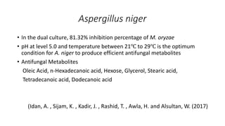 Aspergillus niger
• In the dual culture, 81.32% inhibition percentage of M. oryzae
• pH at level 5.0 and temperature between 21℃ to 29℃ is the optimum
condition for A. niger to produce efficient antifungal metabolites
• Antifungal Metabolites
Oleic Acid, n-Hexadecanoic acid, Hexose, Glycerol, Stearic acid,
Tetradecanoic acid, Dodecanoic acid
(Idan, A. , Sijam, K. , Kadir, J. , Rashid, T. , Awla, H. and Alsultan, W. (2017)
 