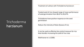 Trichoderma
harzianum
Treatment of cultivar with Trichoderma harzianum
Treated seed of rice showed range of mean performance
of seed germination from 86.67 to 96.67%
Trichoderma have positive response on the seed
germination
Reduce the intensity of blast disease of rice
It can be used as effective bio-control measure for rice
blast besides increasing the yield of rice crop
Mathivanan et. al.2006.
 