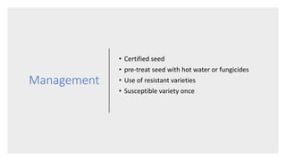Management
• Certified seed
• pre-treat seed with hot water or fungicides
• Use of resistant varieties
• Susceptible variety once
 
