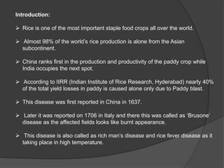 Rice blast and its integrated management.pptx