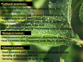 Cultural practices:-
•Sanitation of Field and remove collateral weed host.
•Soil solarization.
•Changing the Sowing time to escape from the disease.
•Apply N in three split doses (50:25:25)
•Use resistant variety- CO 47, CO29, IR-64, IR-36, IR-20 etc.
•Avoid stagnating of water in the field
•Maintaining proper spacing and promote summer ploughing.
Biological Control:-
•Seed treatment with Pseudomonas fluorescence 10g / 1 of water .
•Seed treatment with Tricoderma viride 4kg/lit. of water .
Chemical Control:-
•Seed treatment with Thiram or Captan @2.5g/kg of seeds
•Spraying of Mancozeb @0.25%
•Spraying Carbendazim @ 1g/lit. of water
 