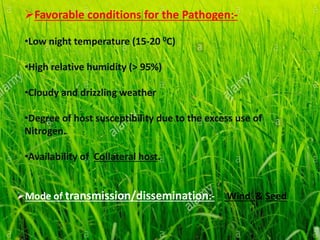 Favorable conditions for the Pathogen:-
•Low night temperature (15-20 0C)
•High relative humidity (> 95%)
•Cloudy and drizzling weather
•Degree of host susceptibility due to the excess use of
Nitrogen.
•Availability of Collateral host.
Mode of transmission/dissemination:- Wind & Seed
 