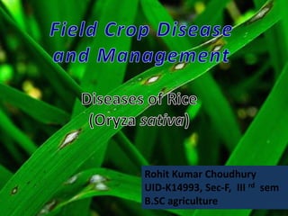 Rohit Kumar Choudhury
UID-K14993, Sec-F, III rd sem
B.SC agriculture
 