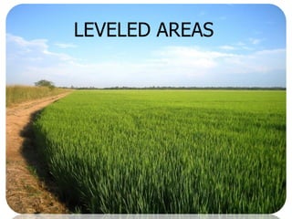 Rice breeding at Irga