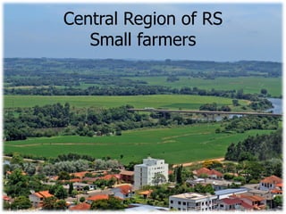 Rice breeding at Irga