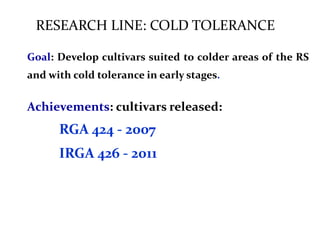 Rice breeding at Irga