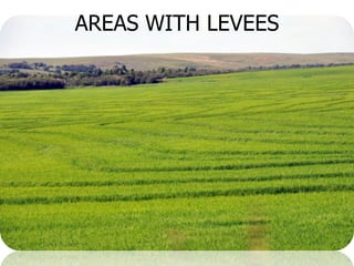 Rice breeding at Irga