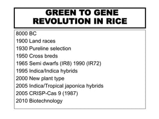 Rice Breeding in pakistan | PDF