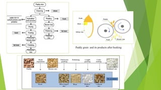 Rice by product | PPT