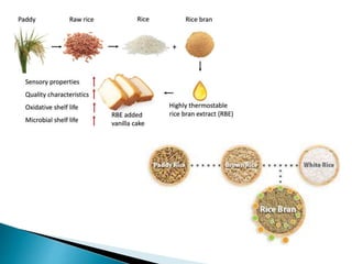 Product Include Rice RICE Crop by products.pptx