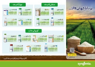 rice_crop_program.pdf