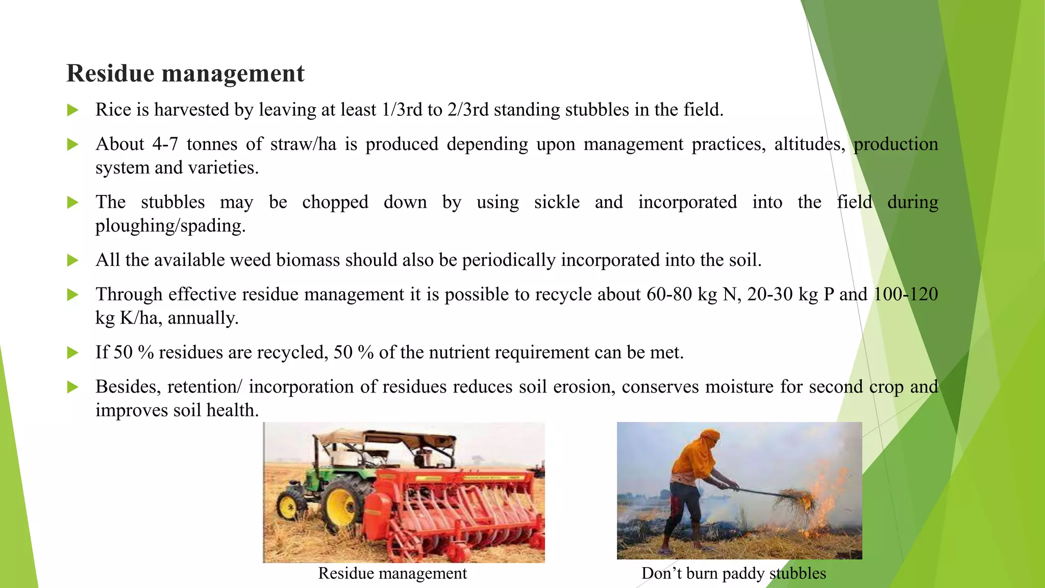 Residue management
 Rice is harvested by leaving at least 1/3rd to 2/3rd standing stubbles in the field.
 About 4-7 tonnes of straw/ha is produced depending upon management practices, altitudes, production
system and varieties.
 The stubbles may be chopped down by using sickle and incorporated into the field during
ploughing/spading.
 All the available weed biomass should also be periodically incorporated into the soil.
 Through effective residue management it is possible to recycle about 60-80 kg N, 20-30 kg P and 100-120
kg K/ha, annually.
 If 50 % residues are recycled, 50 % of the nutrient requirement can be met.
 Besides, retention/ incorporation of residues reduces soil erosion, conserves moisture for second crop and
improves soil health.
Don’t burn paddy stubbles
Residue management
 