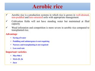 Rice culture and greenhouse gas emission | PPTX