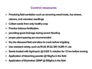Control measures
 Practicingfieldsanitationsuchas removingweedhosts,rice straws,
ratoons,and volunteer seedlings
 Collectseeds fromonly healthycrop
 Practicebalancefertilization
 providing good drainage during severe flooding
 properplant spacingarerecommended
 Dry the diseasedfieldandallow tocrackbeforeirrigating
 Use resistantvariety, such as IR-20,IR-22,BR-14,BR-11,etc
 Seeds treatedwithAgrimycin @ 0.025 % solutionfor12hrs before sowing
 Applicationof bleachingpowder@15kg/hain the field
 Applicationof Bactroban20WP@ 500g/ha in the field
 