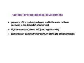 Factors favoring disease development
 presenceof the bacteriaon leaves andin thewateror those
surviving in the debris leftafterharvest
 high temperature(above 340C)andhigh humidity
 earlystageof plantingfrommaximum tilleringtopanicleinitiation
 