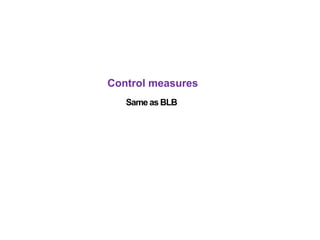 Control measures
Same as BLB
 