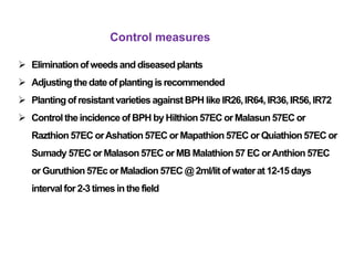 Control measures
 Eliminationofweedsand diseasedplants
 Adjusting thedateof plantingisrecommended
 Plantingof resistantvarieties againstBPH likeIR26,IR64,IR36,IR56,IR72
 Controltheincidence of BPH by Hilthion57EC orMalasun57EC or
Razthion57EC orAshation57EC orMapathion57EC or Quiathion57EC or
Sumady 57EC or Malason57EC orMB Malathion57 EC orAnthion57EC
or Guruthion57Ec or Maladion57EC @ 2ml/litofwaterat 12-15days
intervalfor2-3 timesin thefield
 