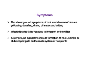 Symptoms
 The above ground symptoms of root knot diseaseof riceare
yellowing,dwarfing,drying of leaves andwilting
 Infectedplants failtorespond toirrigationand fertilizer
 below ground symptoms includeformationof hook,spindleor
club shapedgalls on the rootssystem of rice plants
 