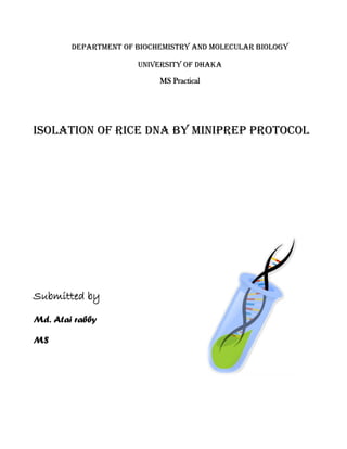 Department of Biochemistry and Molecular Biology
University of Dhaka
MS Practical
Isolation of Rice DNA by Miniprep Protocol
Submitted by
Md. Atai rabby
MS
 