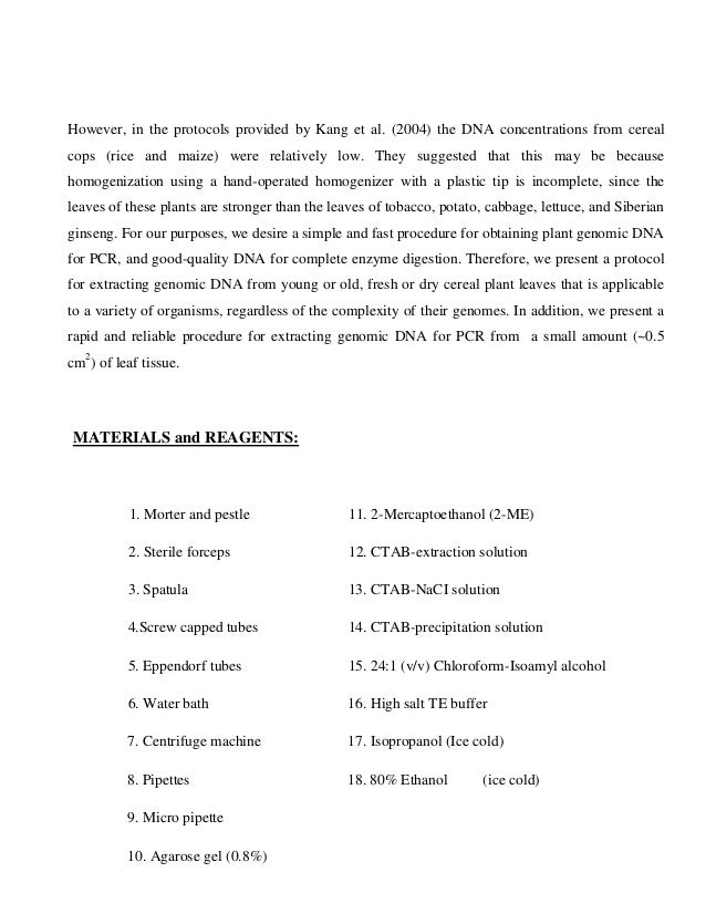 Rice dna extraction miniprep protocol