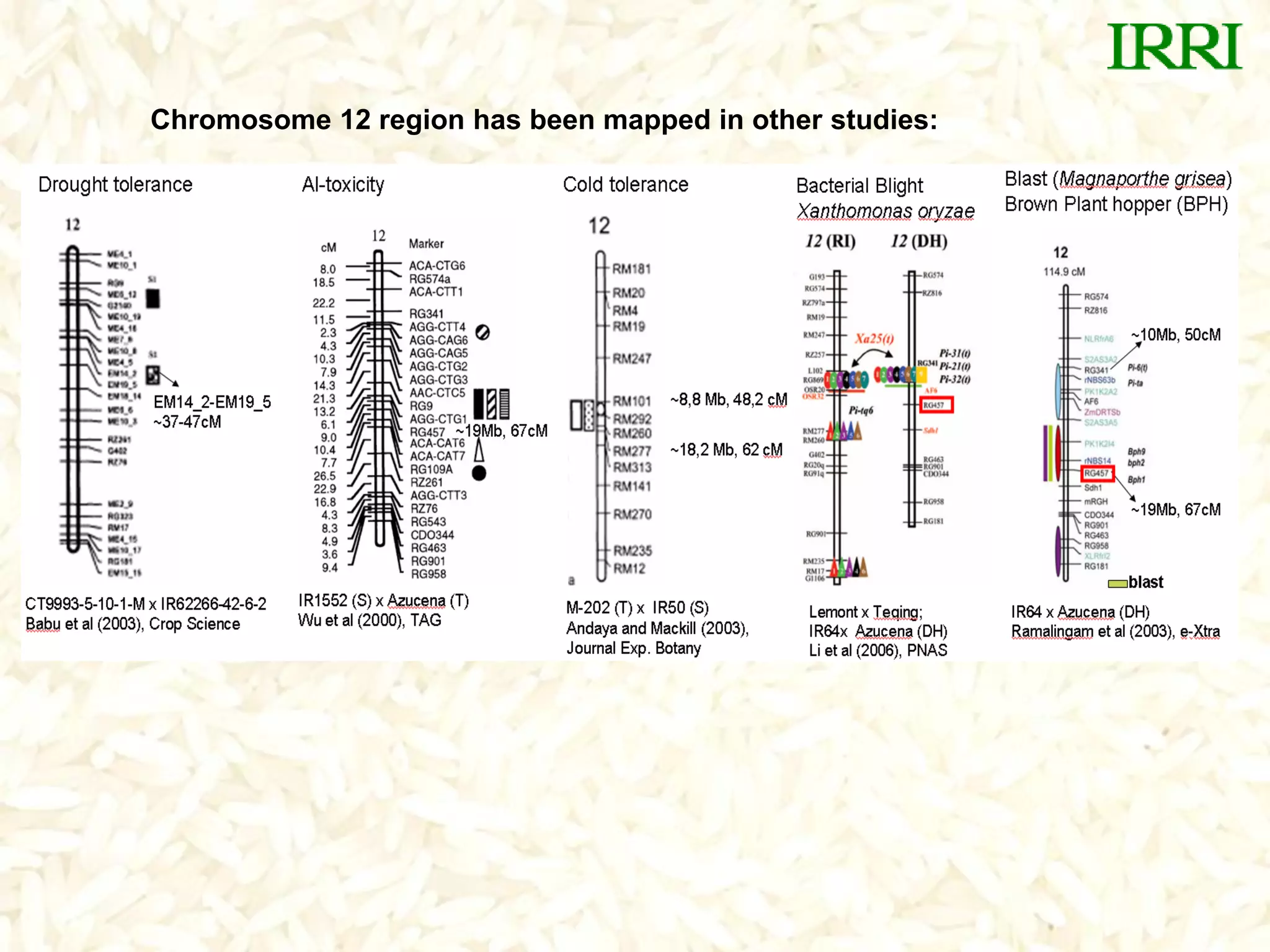 Chromosome 12 region has been mapped in other studies:
 
