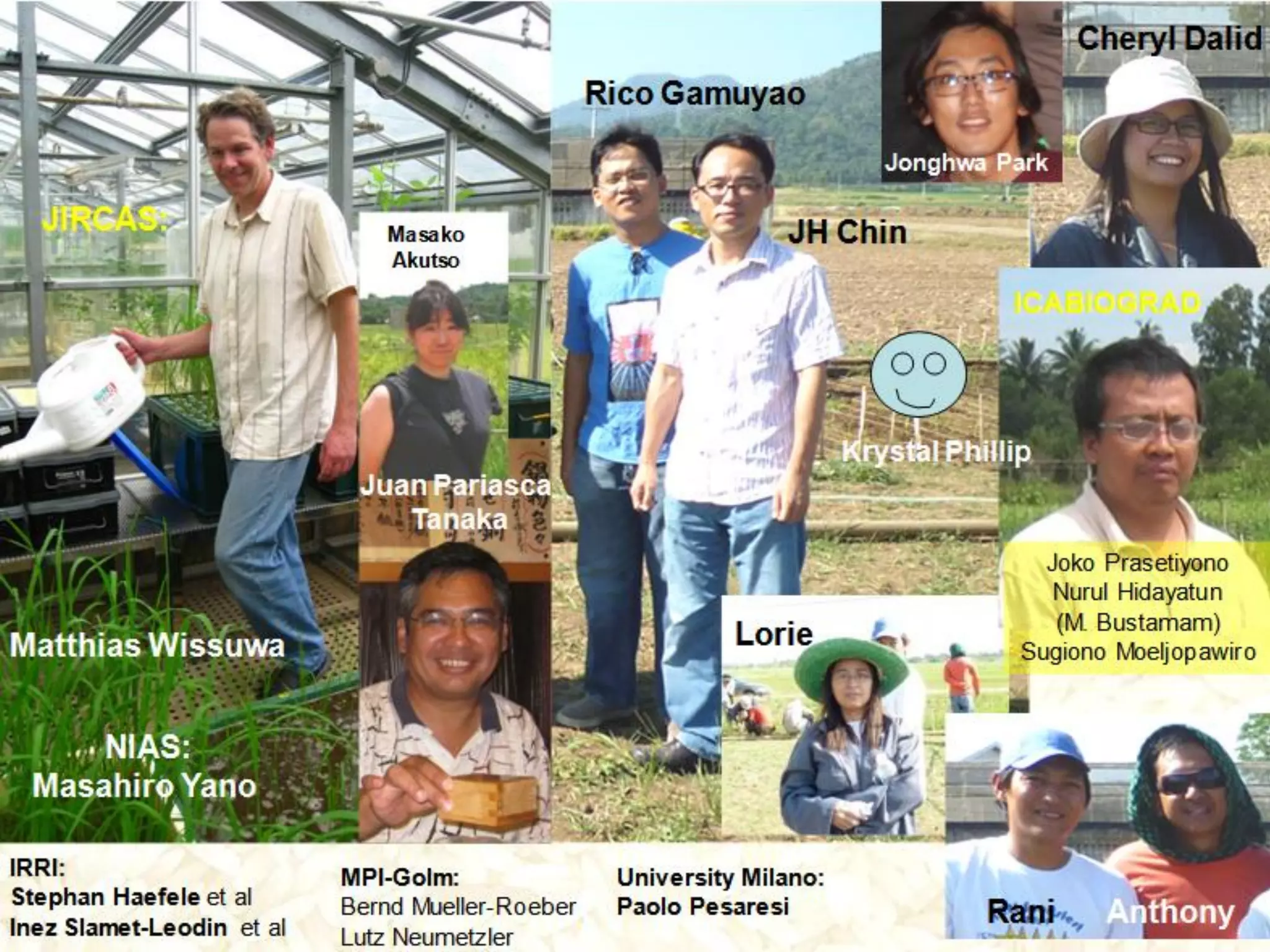 GRM 2011: Rice with dual strength -- Phosphorus uptake efficiency and alumunium tolerance