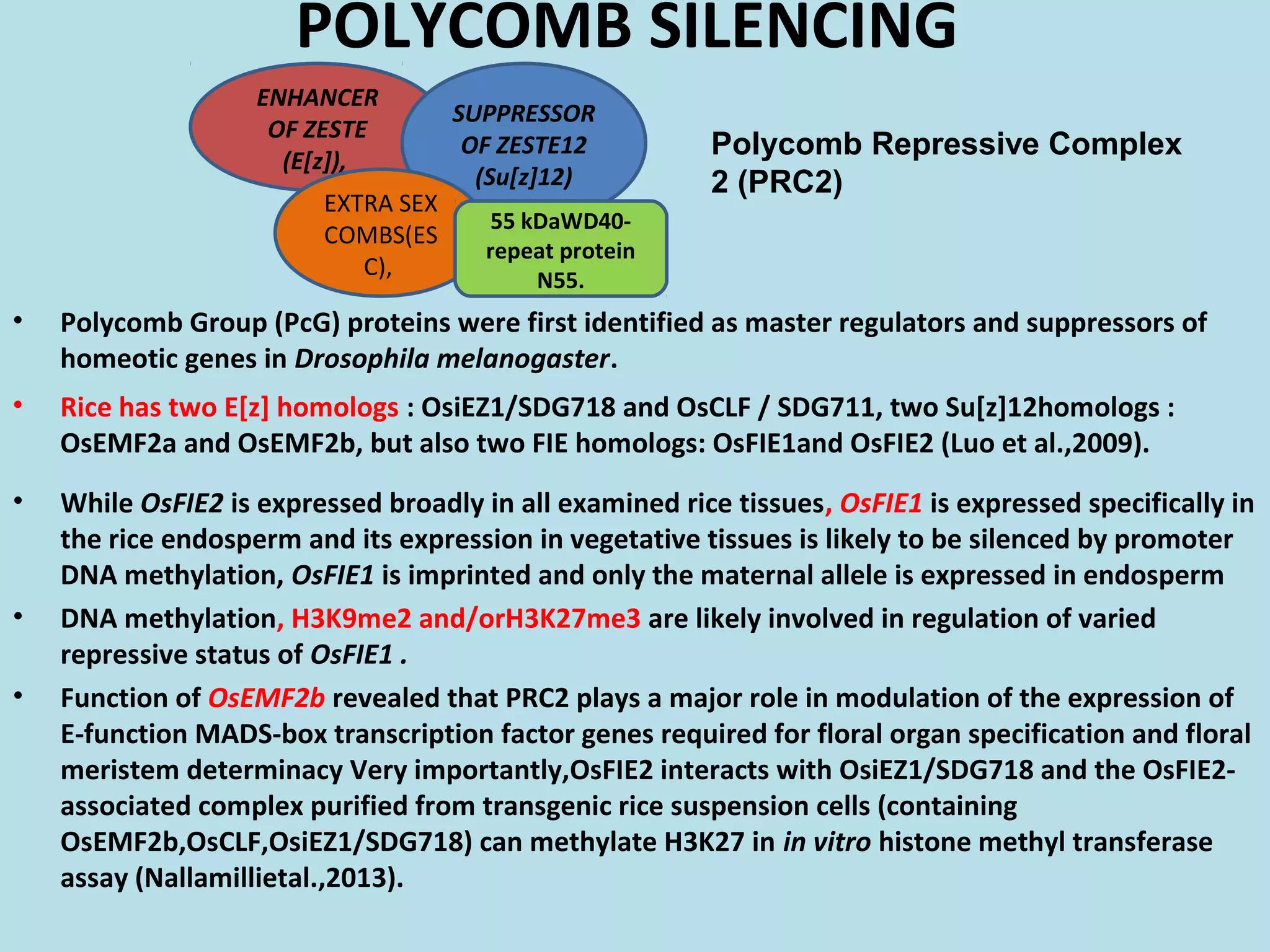 Epigenetic regulation of rice flowering and reproduction | PPT
