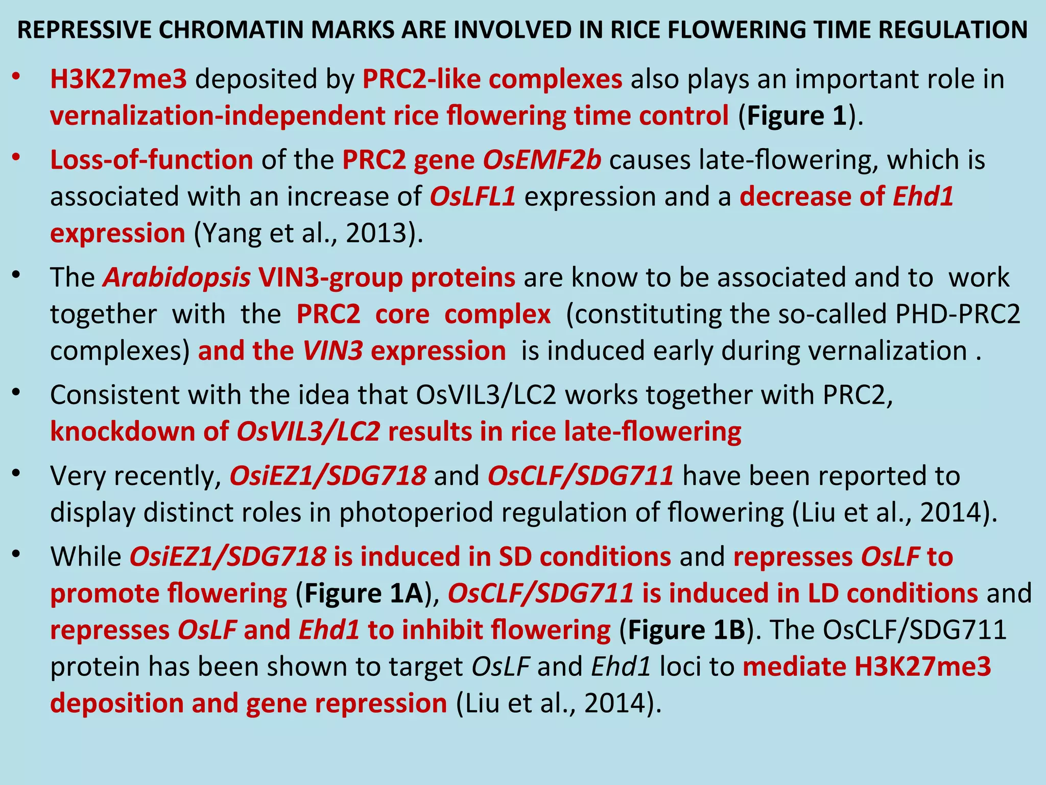 Epigenetic regulation of rice flowering and reproduction | PPT