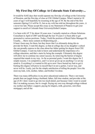Rice Essay | PDF