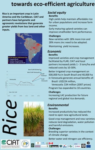 towards eco‐efficient agriculture
Rice is an important crop in Latin                                Social equity
America and the Caribbean. CIAT and                               Benefits
partners have led genetic and                                     High yields help maintain affordable rice 
agronomic revolutions that generate                               for urban populations and increase farm 
greater yields from less land and other                           income.
inputs.                                                           Early‐maturing upland varieties can 
                                                                  improve smallholder farm performance. 
                                                                  Challenges
                                                                  New varieties with 18% more iron and 
                                                                  28% more zinc need to be adopted.
                                                                  Maintaining  yield increases.

                                                                  Economic
                                                                  Benefits
                                                                  Improved varieties and crop management 
                                      Hjimans, 2007
                                                                  facilitated by FLAR, CIAT and local 
                                                                  partners increased yields 1 ‐ 3 tons/ha and 
                                                                  reduced costs by 10‐30%.
                         Best FLAR RS‐Brazil
                        Best FLAR Venezuela                       Better irrigated crop management on 
                                                      FLAR
                                                      RS‐Brazil   500,000 ha in South Brazil and 40,000 ha 
      Venezuela                                       FLAR
                                                                  in Venezuela generate annual benefits of:
                                                      Venezuela
                                                                     Brazil: US$224 million, 
                                                                     Venezuela: $34 million (2007 prices)
                                                                  Program has expanded to 10 countries.
      Data: FAO, FLAR                                             Challenges
                                                                  Increasing LAC production for future 
                                                                  regional and global rice demands.

                                                                  Environmental
                                                                  Benefits
                                                                  Increased productivity has reduced the 
                                                                  need to open new agricultural lands.
                                                                  Good crop management and new varieties 
                                                                  reduces land degradation, water pollution 
                                                                  and harmful emissions.
                                                                  Challenges
                                                                  Breeding superior varieties in the context 
                                                                  of climate change.
                                                                  Better water and nitrogen use efficiency.
 