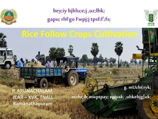 ; g. mUzhr;ryk;
ntshz;ik mwptpay; epiyak; ,uhkehjg[uk;
Rice Follow Crops Cultivation
bey;iy bjhlu;e;j,uz;lhk;
gapu; rhFgo Fwpj;jtpsf;f';fs;
P. ARUNACHALAM
ICAR – KVK, TNAU
Ramanathapuram
 
